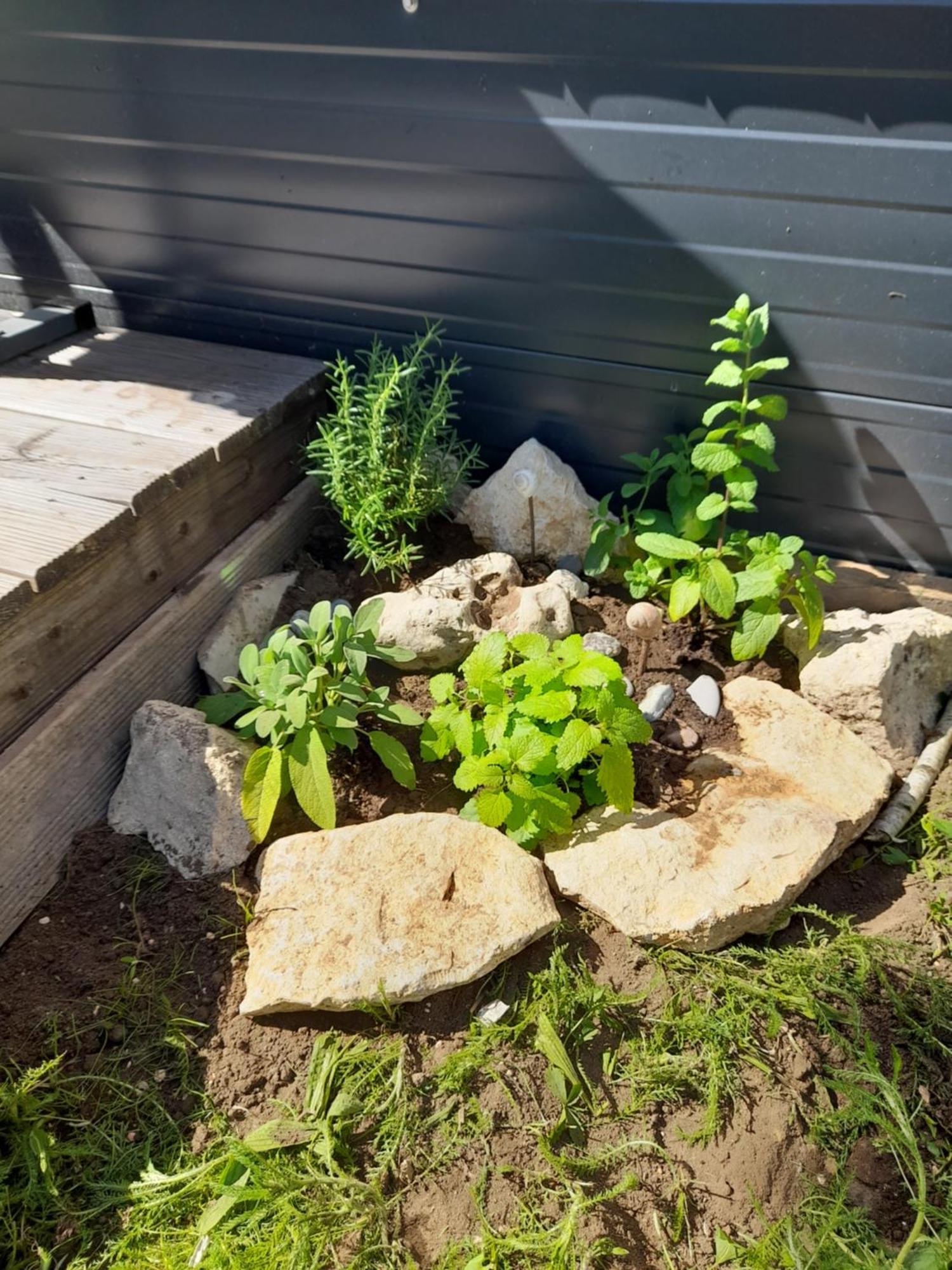 Tinyhouse Wemding Villa Eksteriør billede
